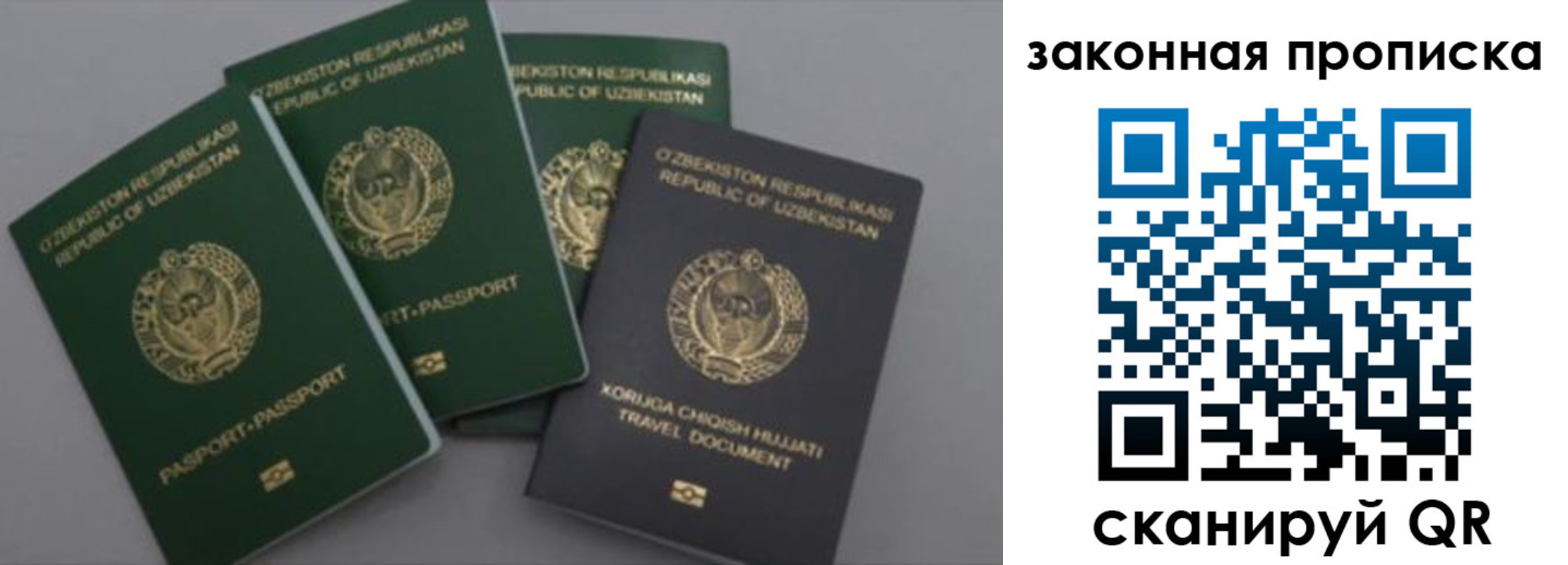 временная регистрация для школы в Щиграх